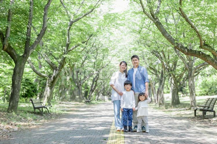 家族　親子　新緑の公園 家族,仲良し,人物の写真素材