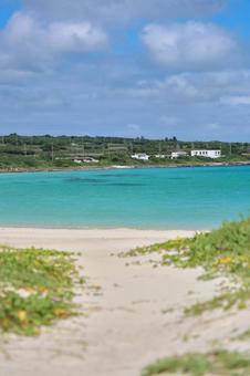 海に飛び込む10秒前 海,砂浜,海水浴の写真素材