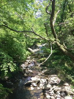 山の清流 清流,小川,渓流の写真素材