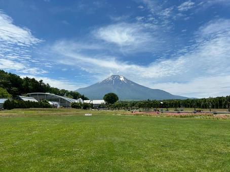 山中湖花の都公園 山中湖花の都公園 花の都公園,山中湖,富士山の写真素材