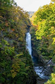 秋の秋保大滝⑷ 秋の秋保大滝⑷ 滝,秋保大滝,名瀑の写真素材
