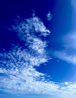 タツノオトシゴみたいな雲 タツノオトシゴみたいな雲 青,青空,空の写真素材