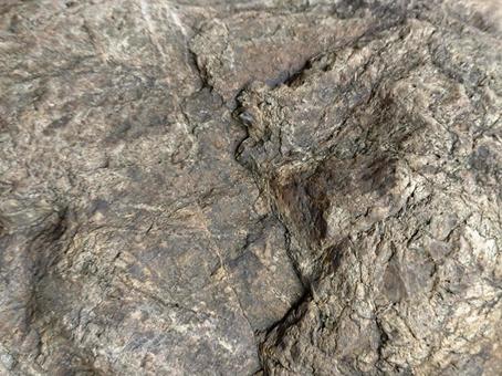 岩肌 岩,テクスチャ,岩肌の写真素材