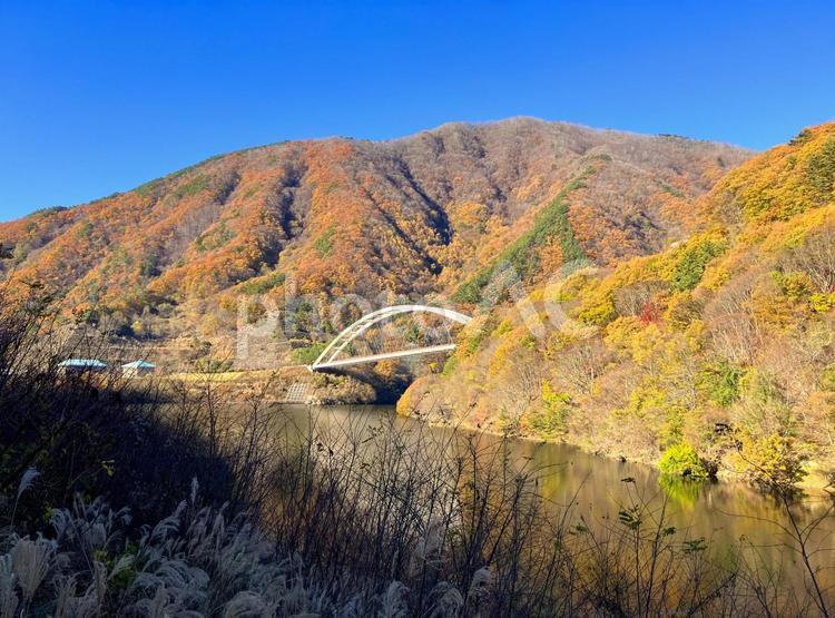 みずがき湖　鹿鳴峡大橋 紅葉,みずがき湖,秋の写真素材