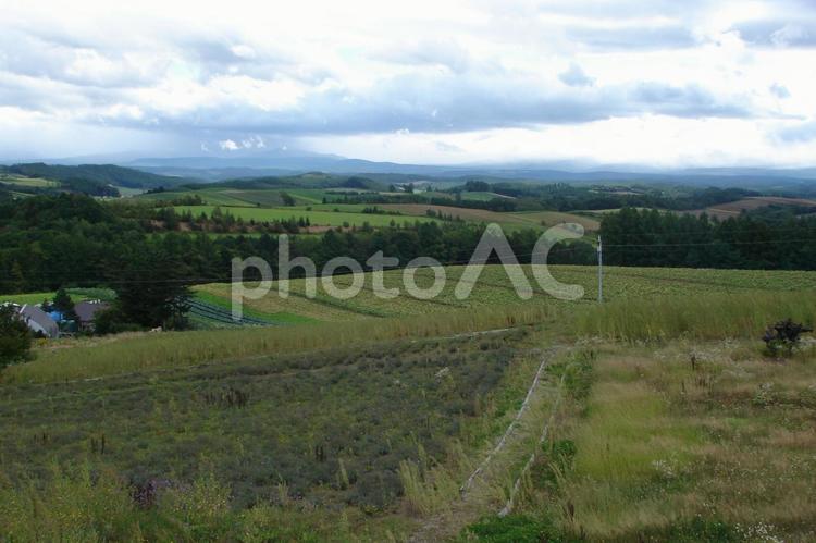 北海道の大自然③ 自然,雲,緑の写真素材