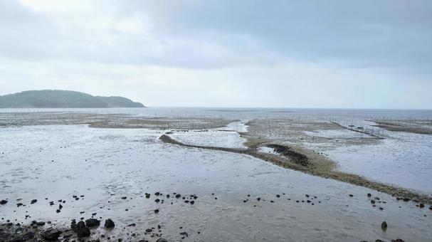 tidal flats, JPG