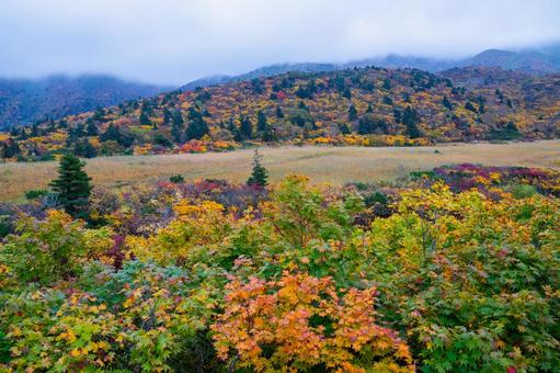 名残ヶ原湿原のと紅葉の山肌 名残ヶ原湿原のと紅葉の山肌 秋,紅葉,黄葉の写真素材