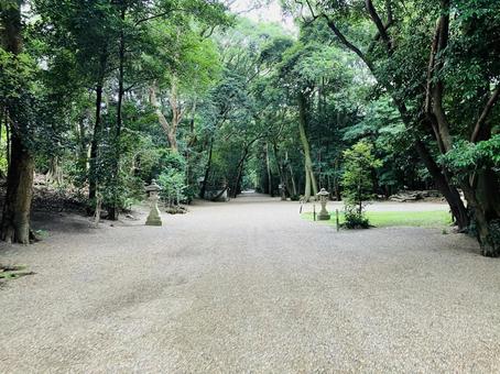 廣瀬大社 参道 廣瀬大社 参道の写真