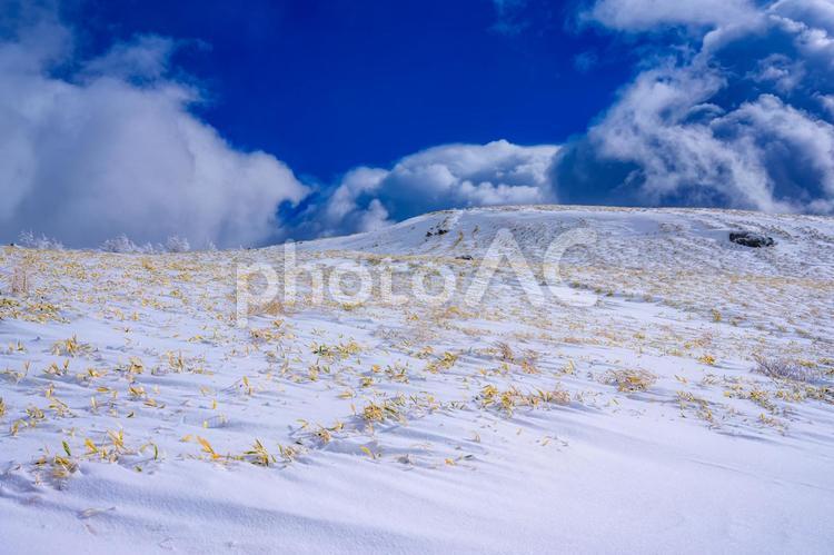 長野県・諏訪市 冬の霧ヶ峰の風景 日本,絶景,風景の写真素材