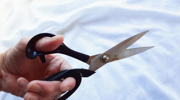 ハサミを手に取る・1 はさみ,切る,刃物の写真素材