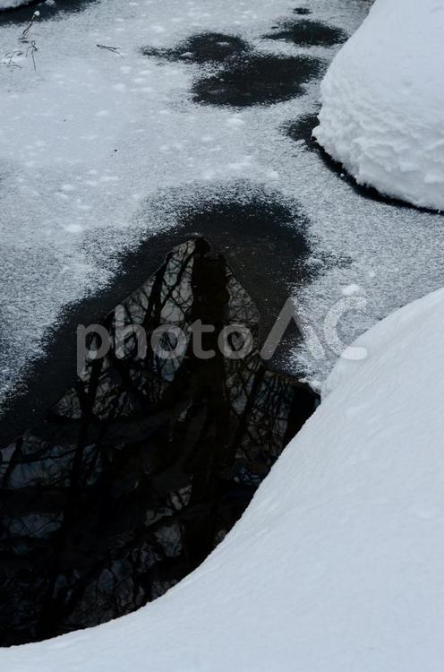 凍った川に反射する冬の木 川,自然,山の写真素材