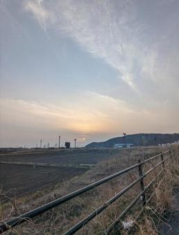夕暮れの田んぼ 夕暮れの田んぼの写真