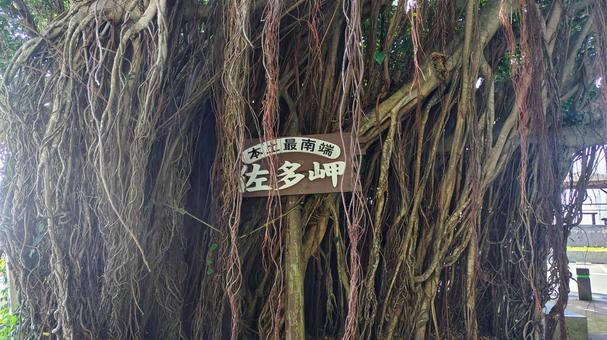 【鹿児島県】本土最南端 佐多岬 【鹿児島県】本土最南端 佐多岬の写真