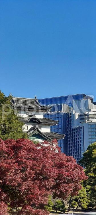皇居からの風景 皇居,江戸城,青空の写真素材