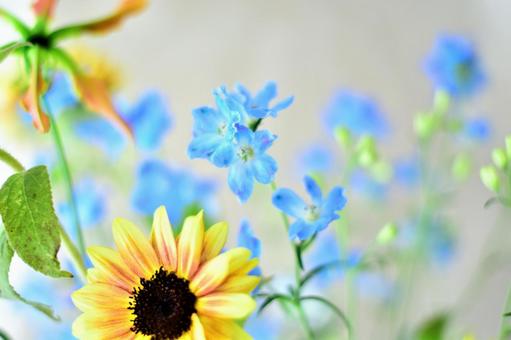 花の壁紙 花の壁紙の写真