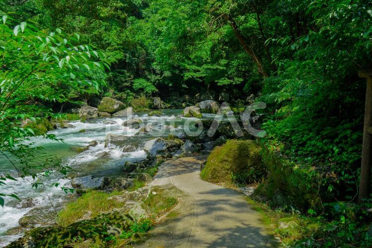 雄川の滝　遊歩道の風景 雄川の滝,雄川,滝見大橋の写真素材