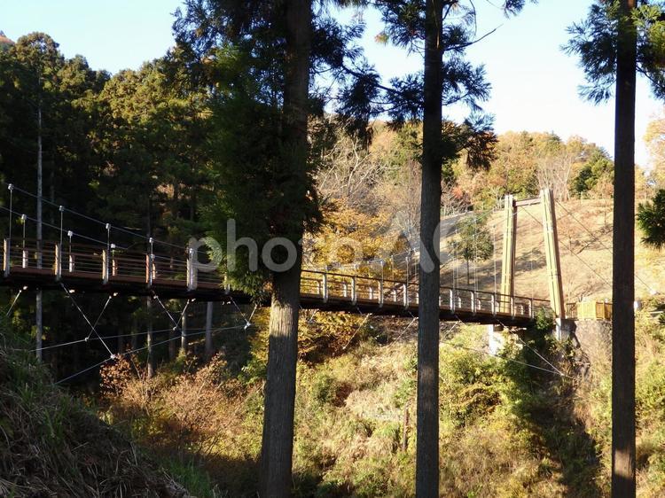 神奈川県　宮ケ瀬ダム　自然風景 景色,風景,神奈川県の写真素材