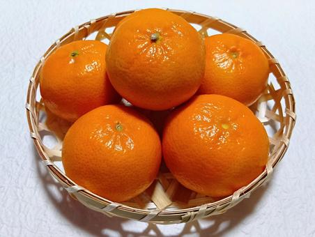 オレンジ オレンジ,柑橘類,果実の写真素材