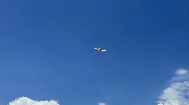 夏の青空と飛行機 夏の青空と飛行機の写真