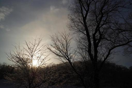 朝の風景 朝の風景 日の出,空,雲の写真素材