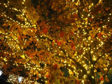 高崎駅周辺のクリスマスイルミ（高崎市） クリスマス,イルミネーション,冬の写真素材