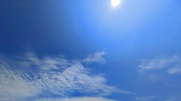 青のキャンバス-53 青のキャンバス-53の写真