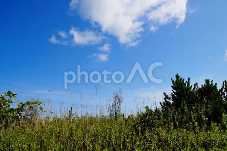 晴れの風景 夏,空,晴れの写真素材