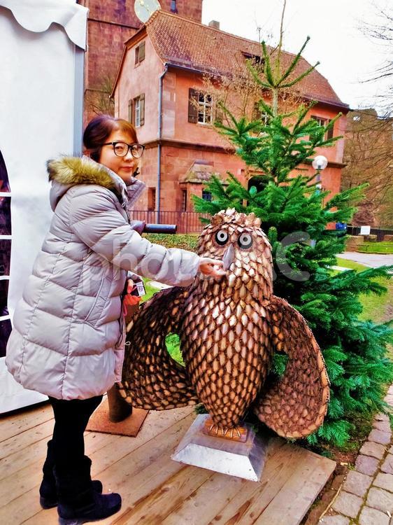 ハイデルベルク城内の風景 ドイツ,ハイデルベルク,ハイデルベルク城内の写真素材