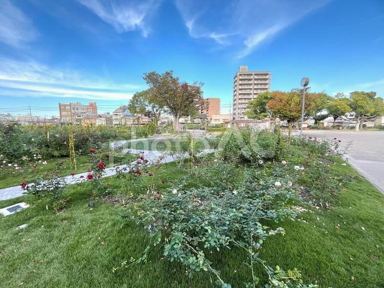 【風景写真】福山バラ公園の風景 自然,風景,景色の写真素材