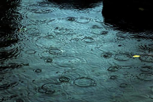 雨の波形3-自然の美 雨の波形3-自然の美の写真