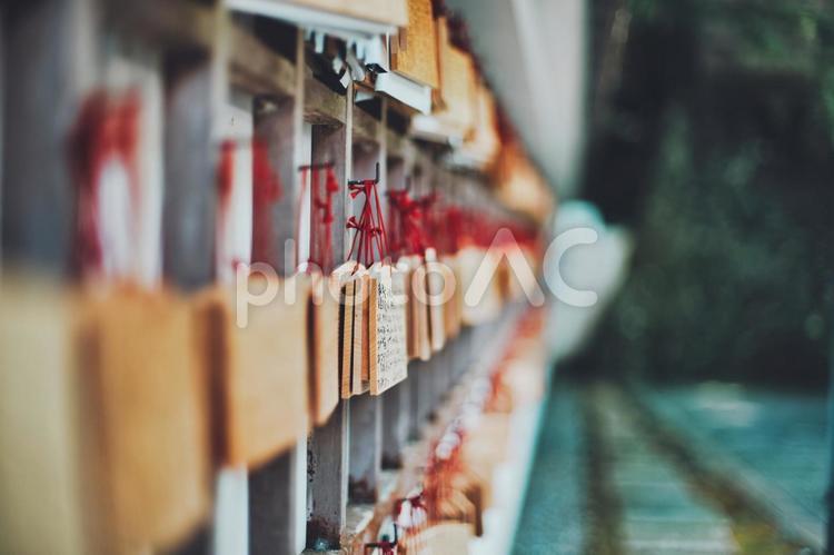 神社に飾られた絵馬の風景 絵馬,神社,寺の写真素材