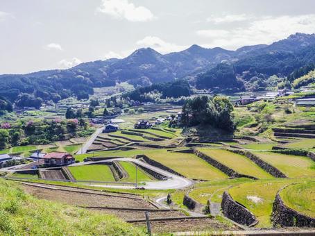 【長崎県】波佐見町・鬼木の棚田 【長崎県】波佐見町・鬼木の棚田 鬼木の棚田,棚田,波佐見町の写真素材