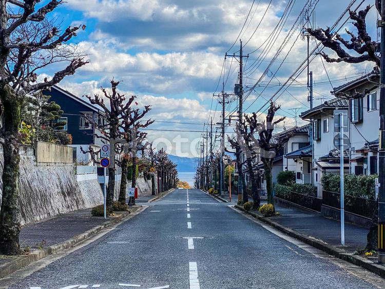 海の見える街並み　〜広島県廿日市市〜 欅,秋,道路の写真素材
