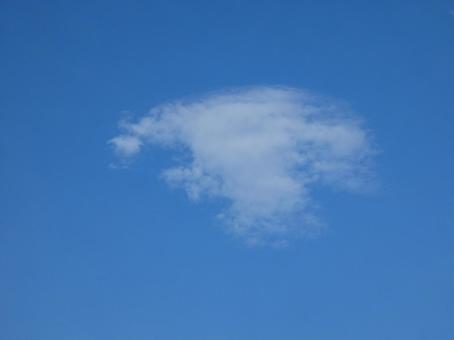 青空と雲を見上げる06 青空と雲を見上げる06の写真