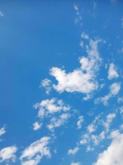 空03_青空 空03_青空の写真