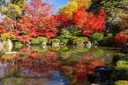 もみじ公園の秋⑵ 秋,紅葉,モミジの写真素材