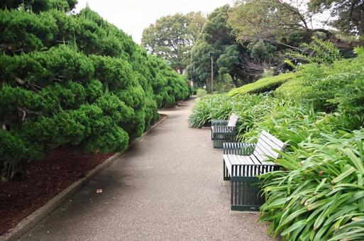 港の見える丘公園のベンチ ベンチ,港の見える丘公園,横浜の写真素材