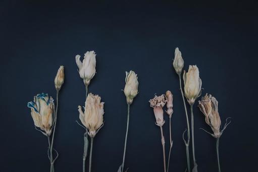 ドライフラワー ドライフラワーの写真