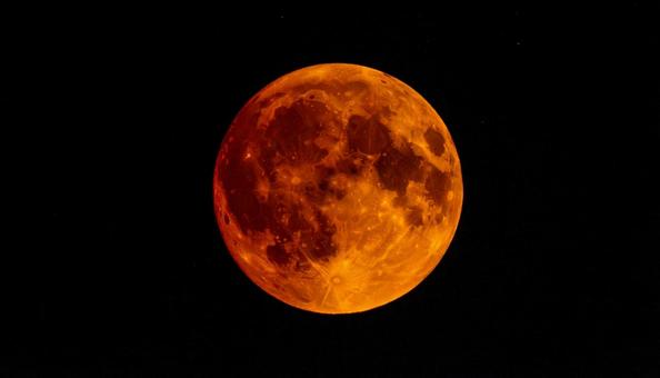 RED MOON RED MOONの写真