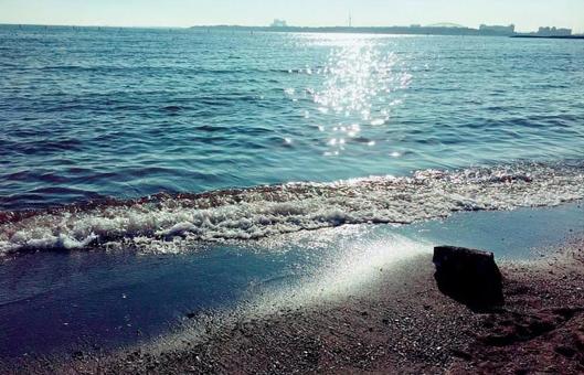 海 海の写真