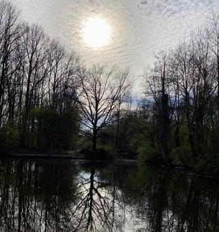 公園の池1 公園の池1の写真