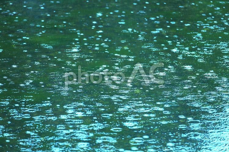 雨の波形ー自然の美 雨の波形,雨の日,波形の写真素材