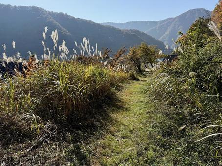 秋の福井県の九頭竜ダム　獣道 秋,道路,晩秋の写真素材