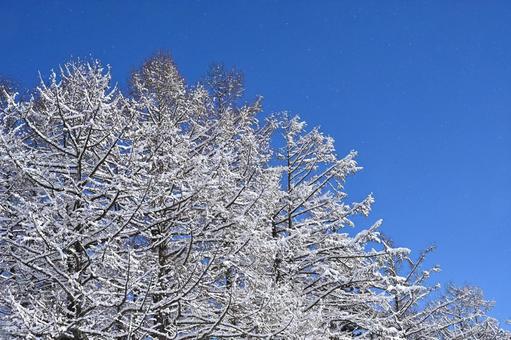 青空と雪の高原の景色（5） 雪景色,雪国,高原の写真素材