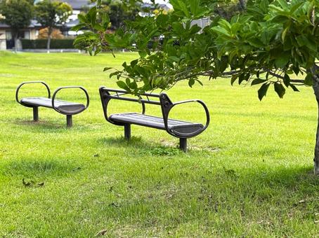 公園のベンチ 木,ベンチ,公園の写真素材