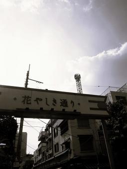 Photo, hanasikiki, asakusa, sunset, 