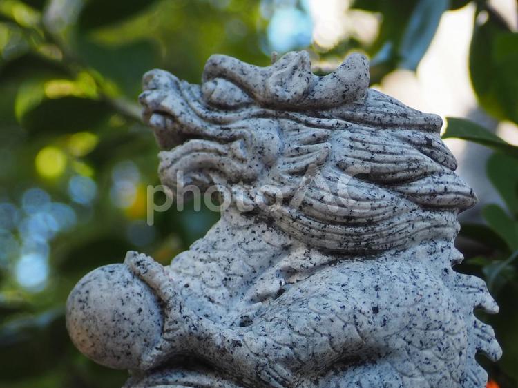 豊崎神社　辰の像 豊崎神社,像,干支の写真素材
