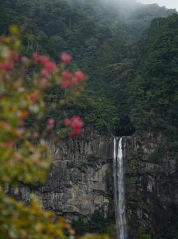 雨上がりの那智の滝 雨上がりの那智の滝 那智の滝,熊野,和歌山県の写真素材