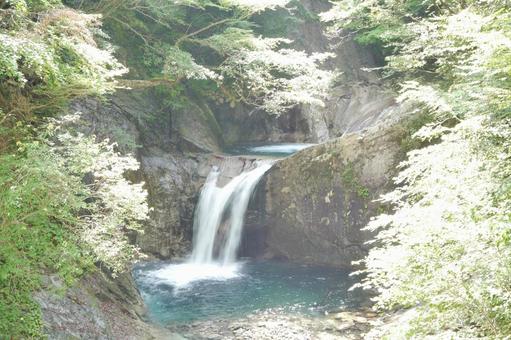 夏の滝 夏の滝の写真