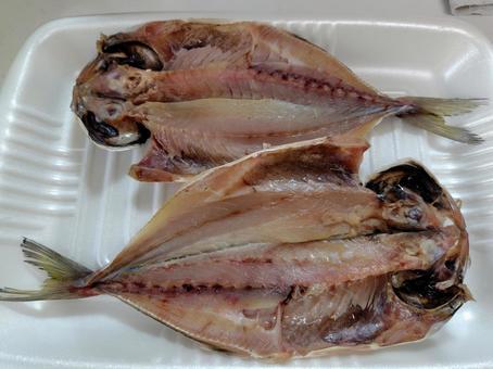 2 pieces of filleted horse mackerel, JPG